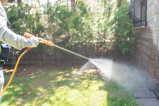 Best Seasonal Pest Control  in Caledonia, MS